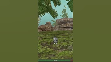 ℂ𝕠𝕠𝕝 𝕤𝕠𝕟𝕘 ⭐ #catsimulator #trendingshorts #gaming