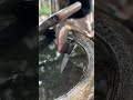 Mengeraskan pisau deres karet #blacksmithing #medievalblacksmith