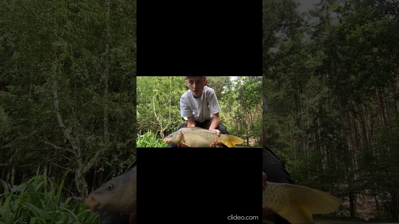 Bring mir bitte deinen großen Bruder  #fishing #fliegenfischen #carpfishing #helpmemakethismakesense