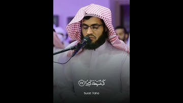 تلاوة هادئة بصوت القارئ رعد الكردي 🤍😴      #قرآن #quran #رعد_الكردي #تلاوة_خاشعة