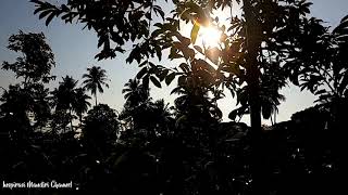 Cinematic Alam Pedesaan Di Pagi Hari Cinematic Rural Nature In The Morning