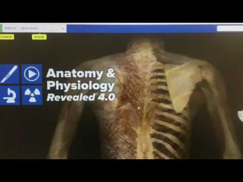 How To Navigate APR Website - Ohio University - Human Anatomy & Physiology - BIOS 1300