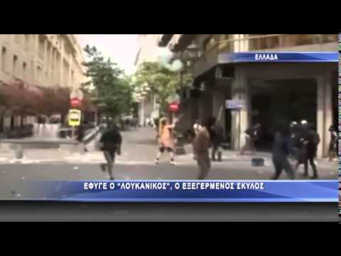 Ένα αντίο στον Λουκάνικο, τον επαναστάτη σκύλο