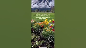 القرآن الكريم بصوت الشيخ مختار الحاج سورة الحشر #اكسبلور #المصحف #لايك  #راحة_نفسية