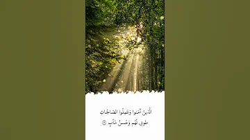 تلاوة في دقيقة سورة الرعد الآية ٢٩ الشيخ ياسر الدوسري 