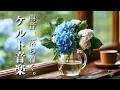 【ケルト音楽】雨音、落ち着く☂️しっとり癒されるケルト音楽|Rainy Day BGM|Relax · Cafe Time
