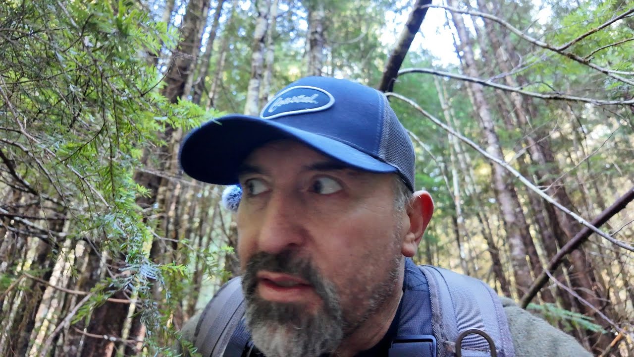 Squatching the PNW Southern Oregon Siskiyou/Rogue national Forest Gifting area part 2 we return !