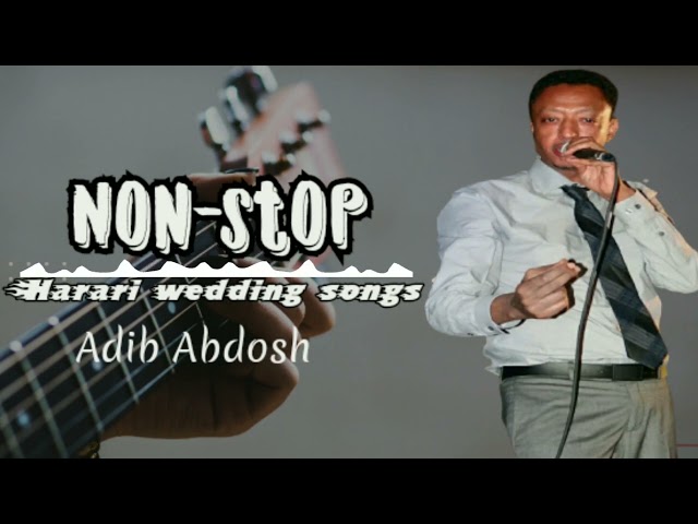 Adib Abdosh(Aykut_Nushash)_Harari wedding Music class=