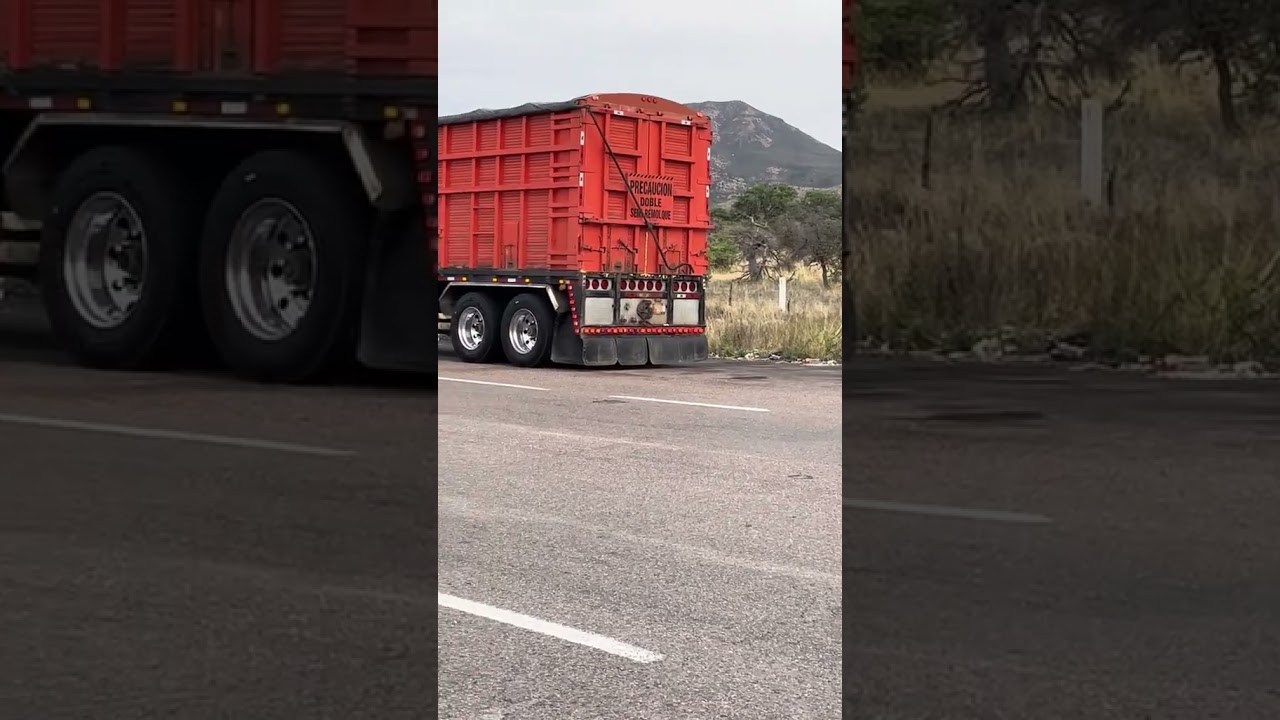 Chuleando los doble remolque