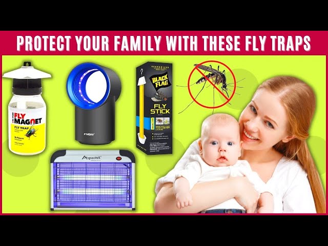 How to Get Rid of Flies with the TERRO® Discreet Indoor Fly Trap 