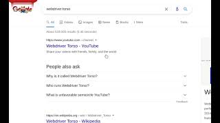 web driver torso easter egg replaced