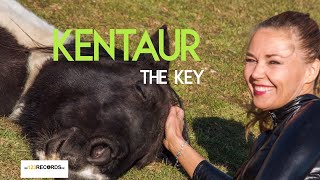 Kentaur - The Key [Official Music Video]