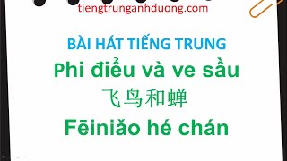 Bài hát tiếng Trung: Phi điểu và ve sầu 飞鸟和蝉 Fēiniǎo hé chán