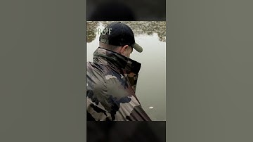 An ideal choice for rainy days💧🌧️ Delphin PROOF