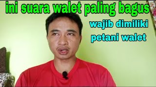 WAJIB DIMILIKI SUARA WALET INI, BAGI PARA PETANI WALET