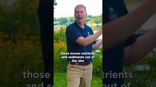 🌅 Top three things lake residents can do to protect their lake!