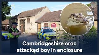 Boy WAS attacked by crocodile - as suspect released on bail | 5 News