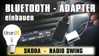 Bluetooth Adapter an SKODA Radio anschließen  Radio SWING