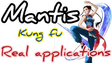 Mantis Kung fu kicks and blocks real application / kicks , blocks , joints lock / 螳螂拳