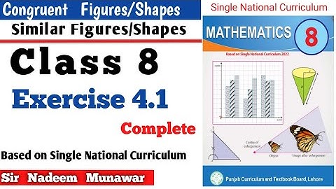 Class 8 Exercise 4.1 SNC PCTB Maths Ex 4.1 Difference Congruent Shapes Similar Shapes  in Urdu Hindi