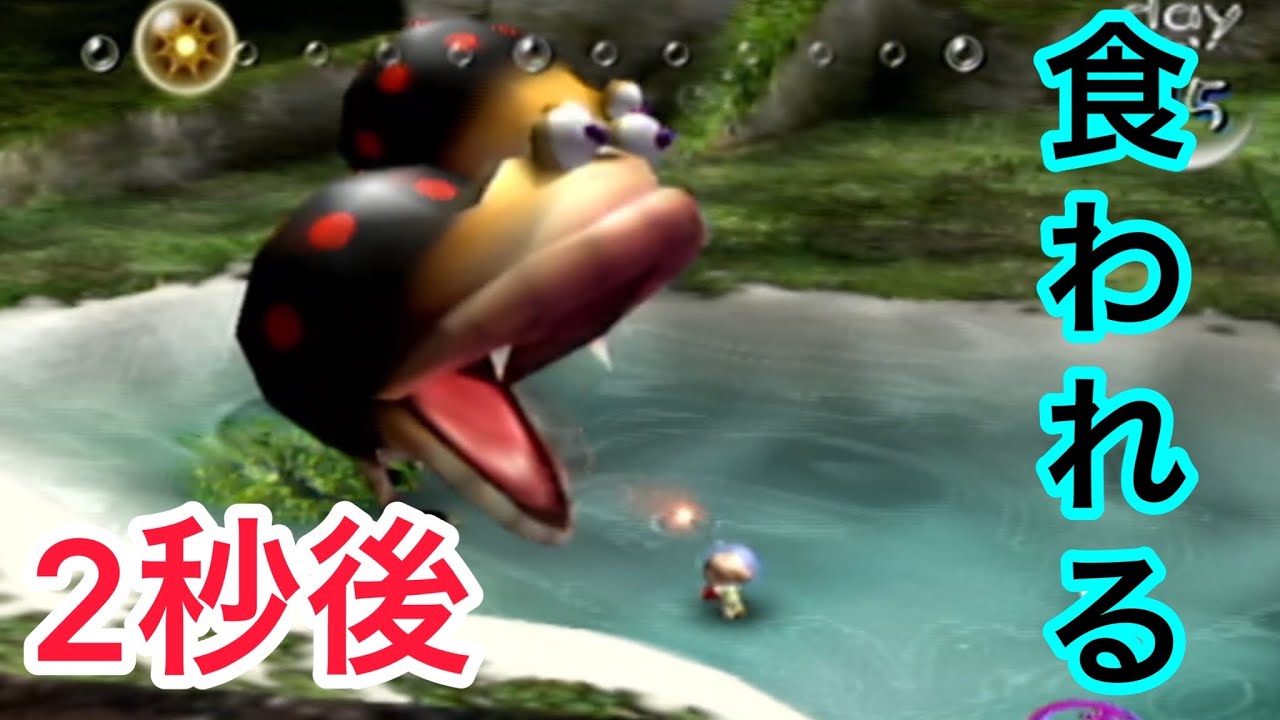 ピクミン】クマチャッピーに食べられる2秒前！！！！！！！！！初代