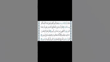 سورة الملك #القارئ #محمدالفقية #اكسبلور#راحة_نفسية#ماشاء الله