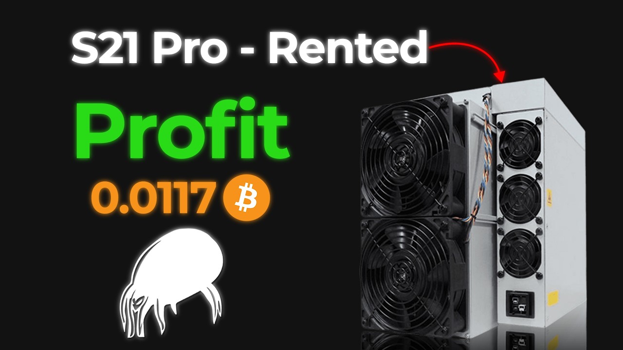 Parasite Pool Hash Rate Renting Profitability