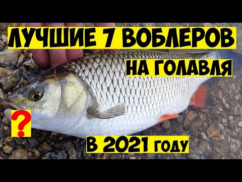 ТОП 7  Лучшие воблеры на ГОЛАВЛЯ в 2021 году! Ловля Голавля на Спиннинг! Рыбалка на голавля! Голавль