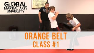 Beginner Krav Maga - Orange Belt/Level 2 - Class #1 (Knees, Sprawling, Fatigue Drill) screenshot 3