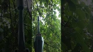 Así dispara el Gamo Nitro Piston .22 #airgun #outdoor