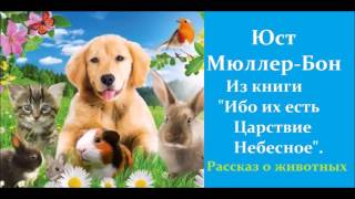 Юст Мюллер-Бон.Рассказ для детей от 3-х лет.О животных которых сотворил Бог Юст Мюллер-Бон.Рассказ для детей от 3-х лет.О животных которых сотворил Бог