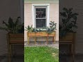 Build a DIY veggie planter from cut-offs and scraps