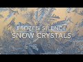 Capture de la vidéo Frozen Silence - Snow Crystals - Instrumental Piano Background Music