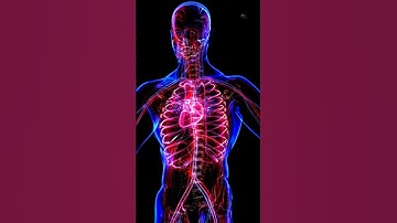 Most People Ignore These Silent Signs — Is Your Body Warning You? #health #facts