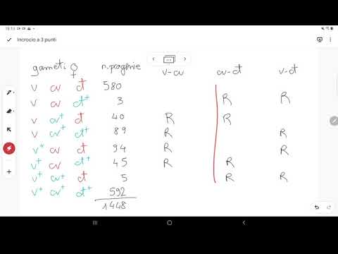 Video: Come viene calcolata la distanza della mappa genetica?