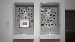 Patrick Pound Dream Vitrine