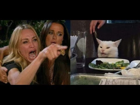 woman-yelling-at-a-cat-sitting-in-a-restaurant||-viral-facebook-meme-on-cat-||