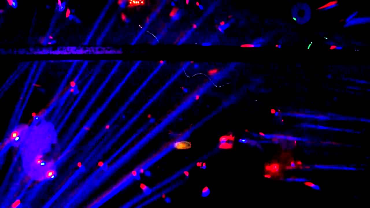 DJ Thommo - Halloween Barnfest