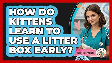 How Do Kittens Learn To Use A Litter Box Early? - Happy Cat Handbook