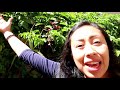 PASSION FRUIT VINE Avoid This Mistake Care And Tips уАКI Made A Big Mistake ЁЯджтАНтЩАя ПуАЛ PASSION FRUIT VINE Avoid This Mistake Care And Tips уАКI Made A Big Mistake ЁЯджтАНтЩАя ПуАЛ