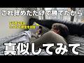 【実体験】ダウ理論はこれ辞めるだけで急激に勝てるようになります