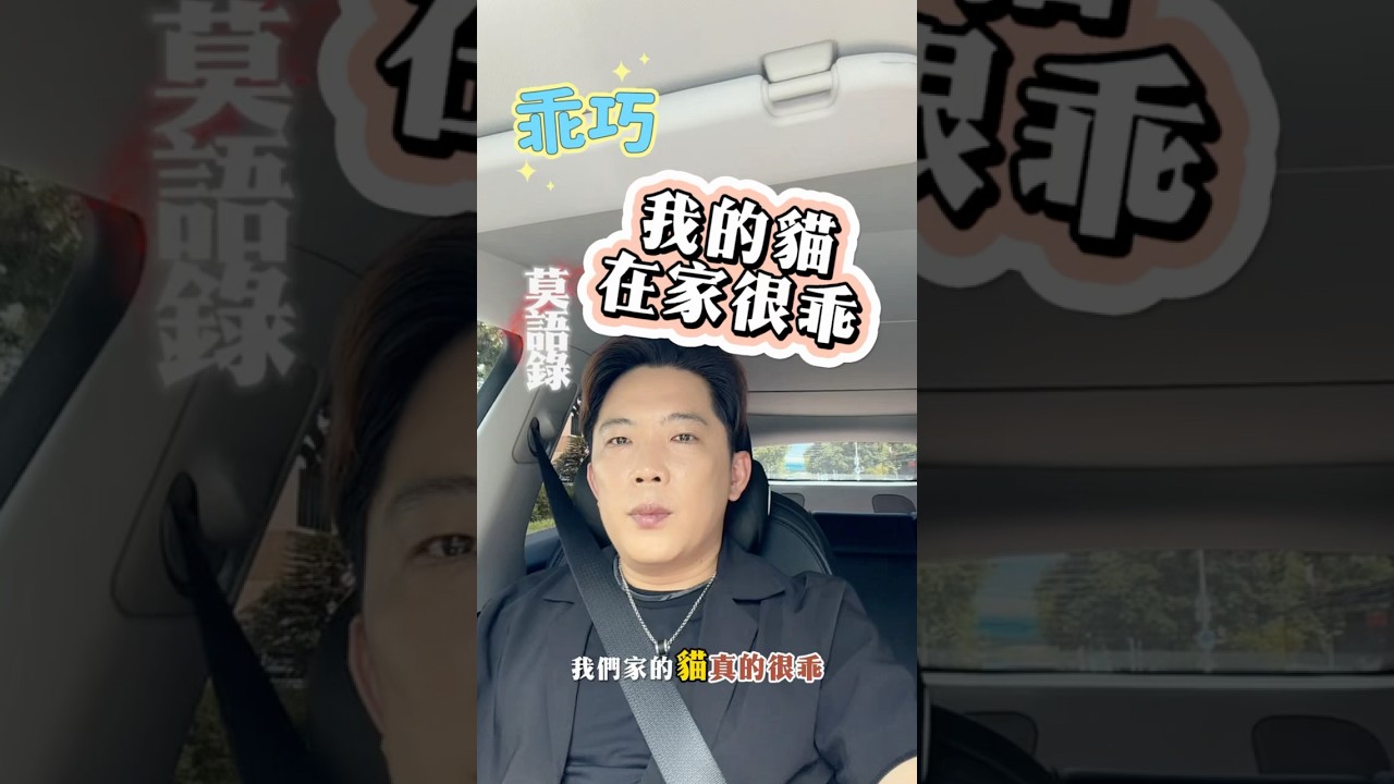 EP11|我家的貓明明很乖,為什麼一出門就變了?貓美容師最懂😂|小莫老師 縮圖