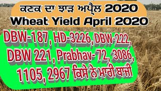 Wheat Yield 2020 (ਕਣਕ ਦੀਆਂ ਵੱਖ-ਵੱਖ ਕਿਸਮਾਂ ਦਾ ਝਾੜ) Shergill Markhai