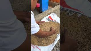 Ada yang bisa tebak yang Saya bawa ini isinya apa