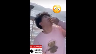 Seagull - Meme