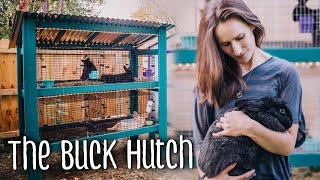 Building a small rabbit hutch for beginners (silver fox and creme d'argent meat rabbits)