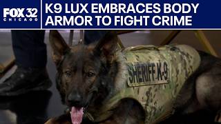 How K9 Lux stays safe: Inside Lake County Sheriff’s life-saving partnership