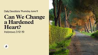 Can We Change a Hardened Heart? – Daily Devotional