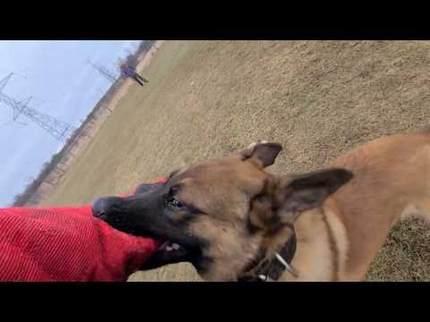 Decoy POV Long Attack⚡