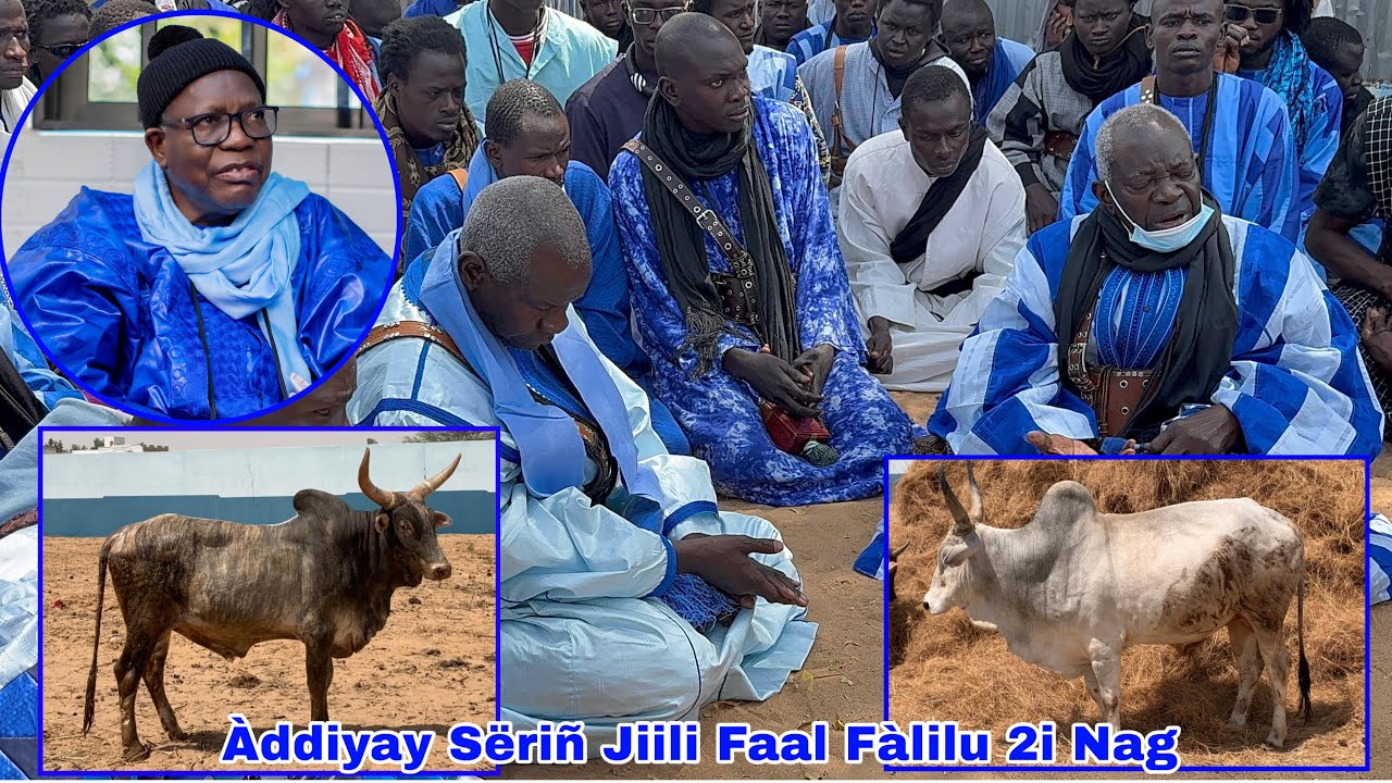 Ñaareelu Jébbale Àddiyay Sëriñ Jiili Faal Fàlilu Ci Liggéeyu Ndogu Yi 2i Nag 9i Fanu Koor